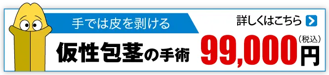 手ではむけるタイプ 仮性包茎 99000円